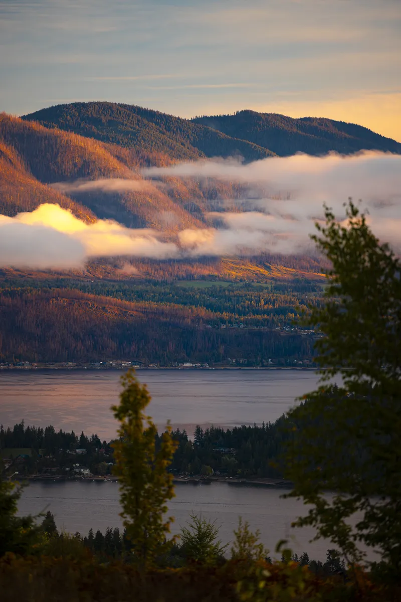 Shuswap Lake and a fog bank through the pines from The Highlands hillside, Blind Bay