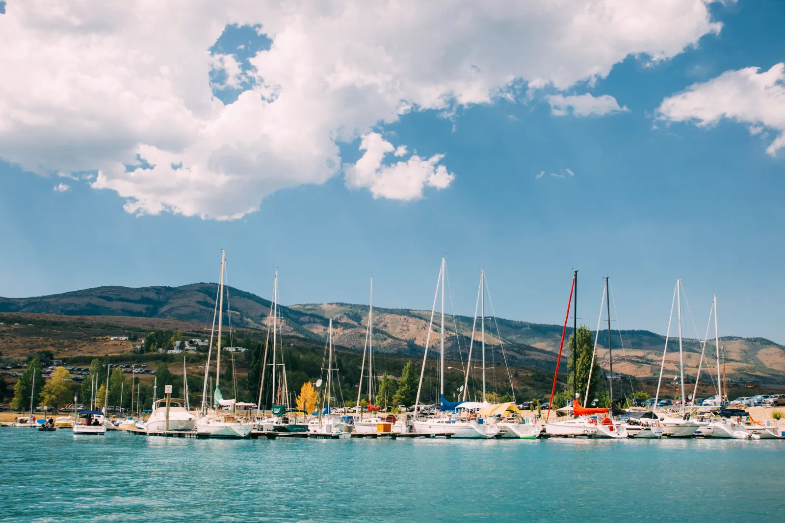 Marina and houseboats near the narrows at Sicamous